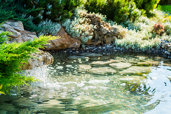 1603958606361811.jpg 池塘.jpg